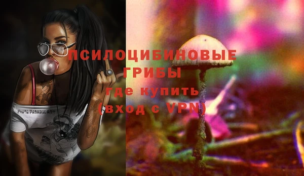 spice Вяземский